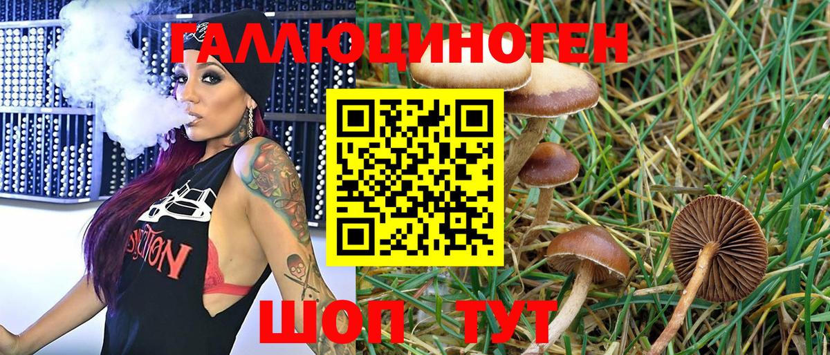 Псилоцибиновые грибы Magic Shrooms  Псилоцибиновые грибы мухоморы  Вход с VPN  Заволжье 