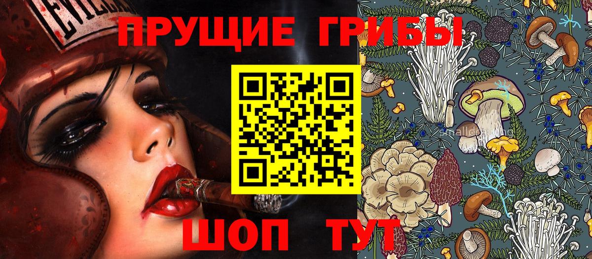 Галлюциногенные грибы Cubensis Заволжье